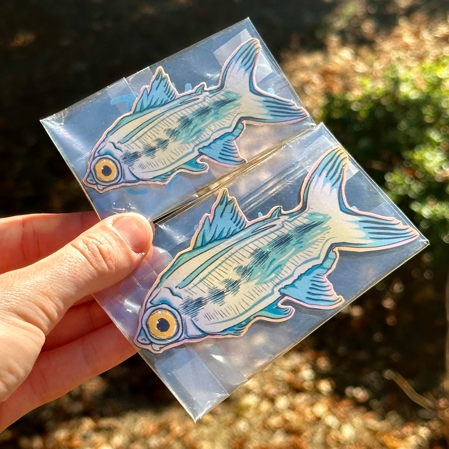 Fish Magnet