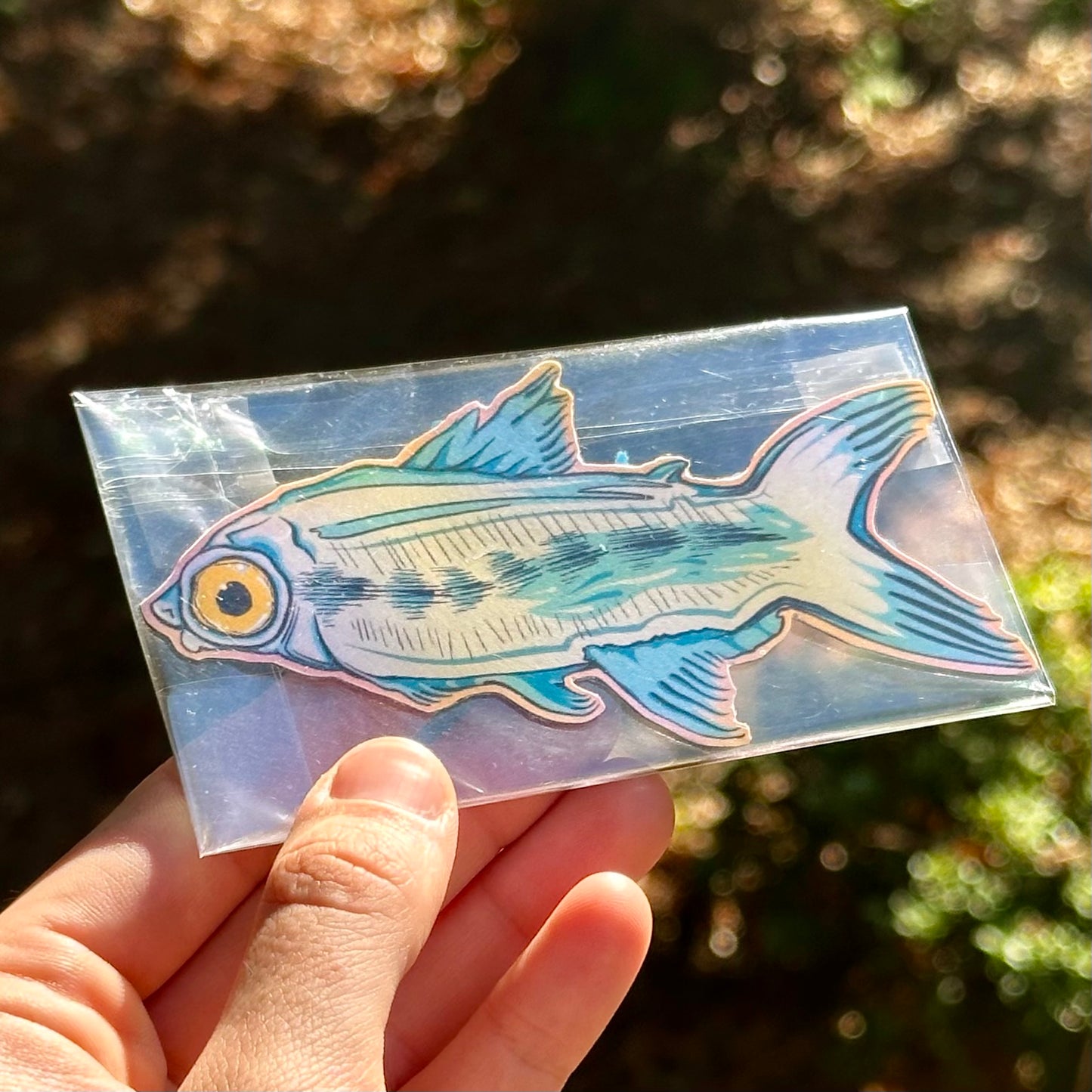 Fish Magnet