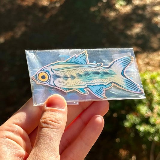 Fish Magnet