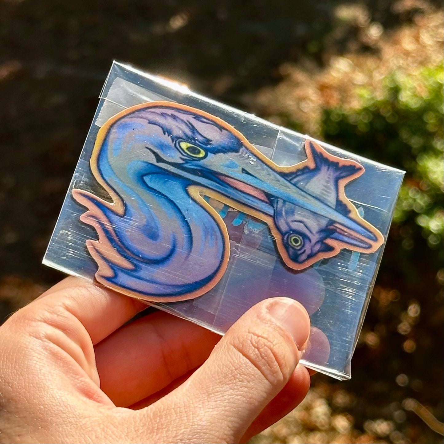 The Catch Magnet