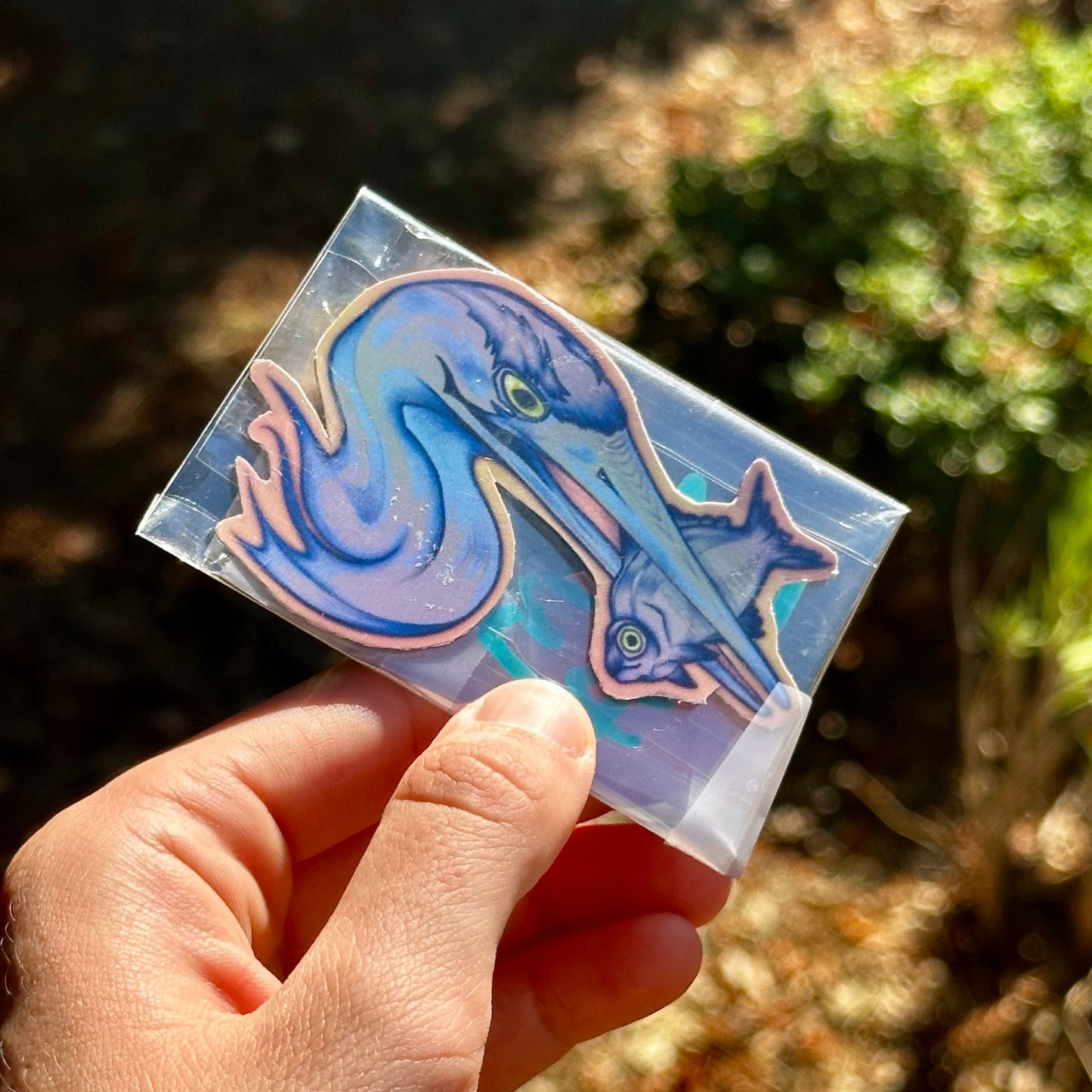 The Catch Magnet